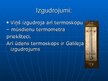Prezentācija 'Renesanses pārstāvji zinātnes jomā - Galileo Galilejs un Nikolajs Koperniks', 9.