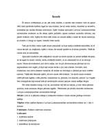 Referāts 'Studentu iztikas naudas patēriņa struktūra nedēļai', 2.