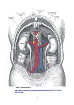 Konspekts 'Nieru hidropiskā deģenerācija', 4.
