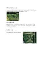 Konspekts 'Vīlandrī pils dārzi', 4.