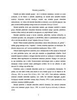 Referāts 'Etniskā pašapziņa un piederība', 5.