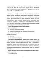 Referāts 'Etniskā pašapziņa un piederība', 7.