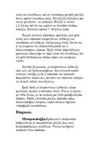 Konspekts 'Parastais herpess', 5.