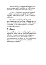 Konspekts 'Parastais herpess', 7.