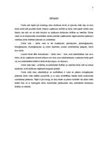 Referāts 'Darba vides riska novērtēšana', 3.