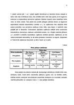 Referāts 'Darba vides riska novērtēšana', 6.