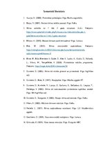 Diplomdarbs 'Bērna emocionālās labizjūtas sekmēšana pašvadītās mācīšanās procesā pirmsskolas ', 42.