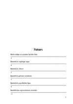 Konspekts 'Basketbola projekts', 2.