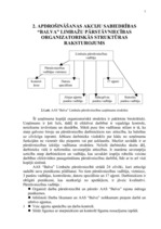 Prakses atskaite 'Prakses atskaite AAS "Balva"', 11.