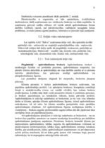 Prakses atskaite 'Prakses atskaite AAS "Balva"', 16.