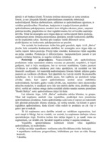 Prakses atskaite 'Prakses atskaite AAS "Balva"', 18.