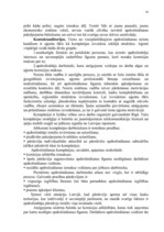 Prakses atskaite 'Prakses atskaite AAS "Balva"', 20.