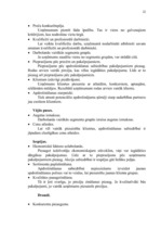 Prakses atskaite 'Prakses atskaite AAS "Balva"', 26.