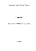 Referāts 'Tirgus izpēte un mārketinga vides analīze', 1.