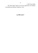 Referāts 'Tirgus izpēte un mārketinga vides analīze', 19.