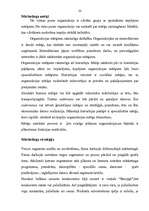 Referāts 'Tirgus izpēte un mārketinga vides analīze', 22.