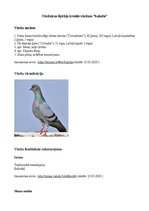 Konspekts 'Vārdnīcas šķirkļa izveide vārdam "balodis"', 1.