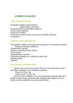 Biznesa plāns 'Zemeņu audzētava "Zemenīte"', 7.