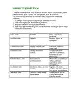 Biznesa plāns 'Zemeņu audzētava "Zemenīte"', 12.