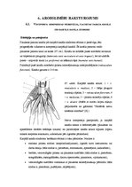 Konspekts 'Arodslimības un to raksturojums', 16.