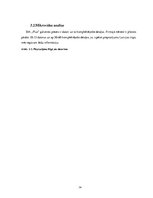 Biznesa plāns 'Datorveikala biznesa plāns', 14.