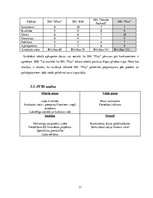 Biznesa plāns 'Datorveikala biznesa plāns', 17.