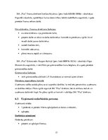 Biznesa plāns 'Datorveikala biznesa plāns', 27.