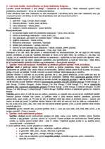 Konspekts 'Latviešu valodas morfoloģija', 3.