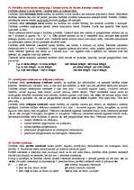 Konspekts 'Latviešu valodas morfoloģija', 8.