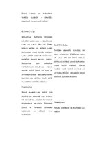 Konspekts 'Integrētā nodarbība vizuālajā mākslā', 2.