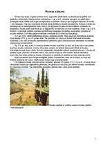 Konspekts 'Etruski', 1.