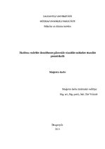 Diplomdarbs 'Skolēnu radošās domāšanas pilnveide vizuālās mākslas stundās pamatskolā', 1.