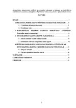 Diplomdarbs 'Skolēnu radošās domāšanas pilnveide vizuālās mākslas stundās pamatskolā', 5.