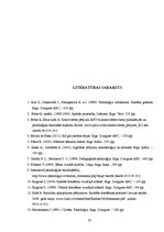 Diplomdarbs 'Skolēnu radošās domāšanas pilnveide vizuālās mākslas stundās pamatskolā', 61.