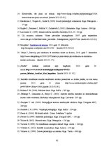 Diplomdarbs 'Skolēnu radošās domāšanas pilnveide vizuālās mākslas stundās pamatskolā', 62.