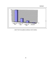 Diplomdarbs 'Skolēnu radošās domāšanas pilnveide vizuālās mākslas stundās pamatskolā', 66.