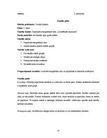 Diplomdarbs 'Skolēnu radošās domāšanas pilnveide vizuālās mākslas stundās pamatskolā', 67.