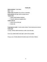 Diplomdarbs 'Skolēnu radošās domāšanas pilnveide vizuālās mākslas stundās pamatskolā', 75.