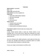 Diplomdarbs 'Skolēnu radošās domāšanas pilnveide vizuālās mākslas stundās pamatskolā', 78.