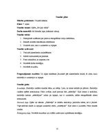 Diplomdarbs 'Skolēnu radošās domāšanas pilnveide vizuālās mākslas stundās pamatskolā', 81.