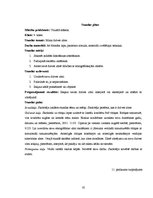 Diplomdarbs 'Skolēnu radošās domāšanas pilnveide vizuālās mākslas stundās pamatskolā', 85.