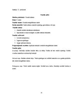 Diplomdarbs 'Skolēnu radošās domāšanas pilnveide vizuālās mākslas stundās pamatskolā', 87.