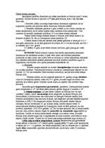 Konspekts 'Ūdens līmeņa izmaiņas', 1.