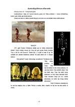 Referāts 'Evolūcija', 6.