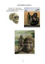 Referāts 'Evolūcija', 7.