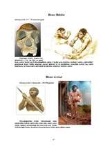 Referāts 'Evolūcija', 8.