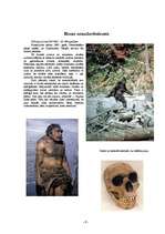 Referāts 'Evolūcija', 9.