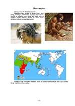 Referāts 'Evolūcija', 10.