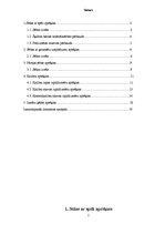 Paraugs 'Kursa darbs metroloģijā', 2.