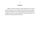 Referāts 'Rīgas kanāla ekosistēma', 15.